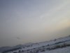 IMGP8422